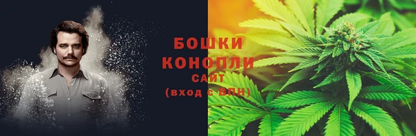 PSILOCYBIN Армянск