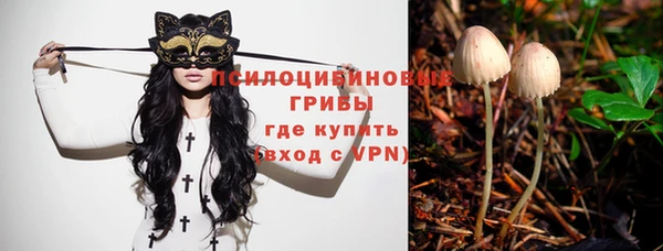 PSILOCYBIN Армянск