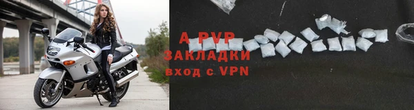 прущие крисы Аркадак