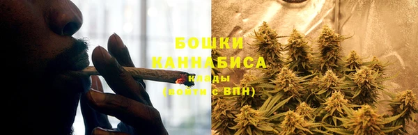 PSILOCYBIN Армянск
