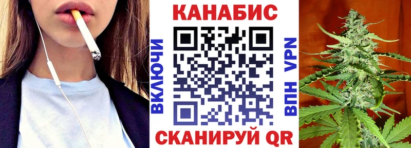Бошки Шишки SATIVA & INDICA  купить наркотики сайты  MEGA сайт  Электрогорск 